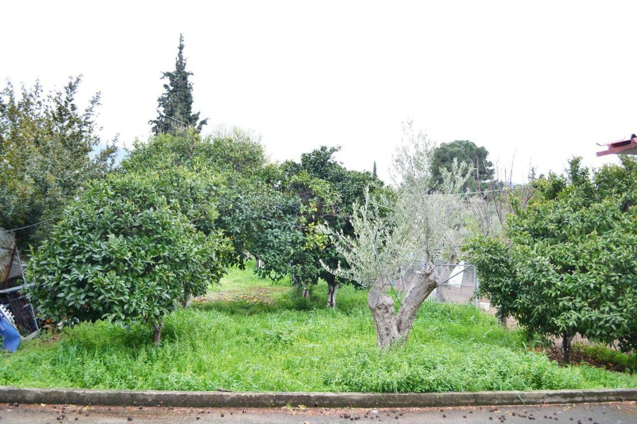 Villa Bella Loukisia Loukissia Exteriér fotografie